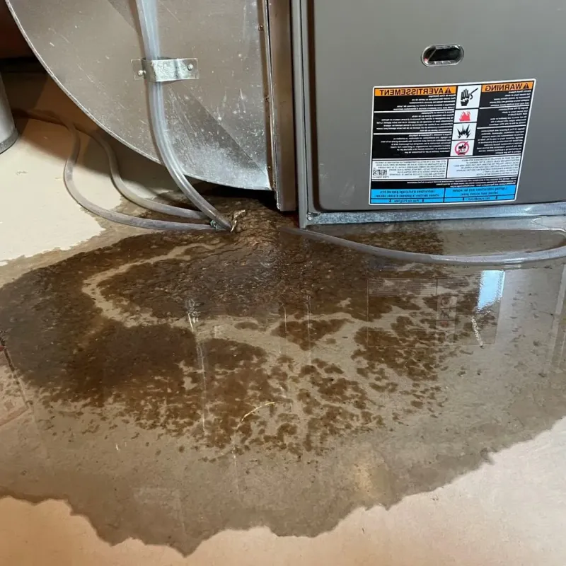 Pipe Burst and Leak Restoration in Bethany, OK
